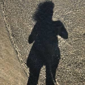 Meet your Posher, Chrissy